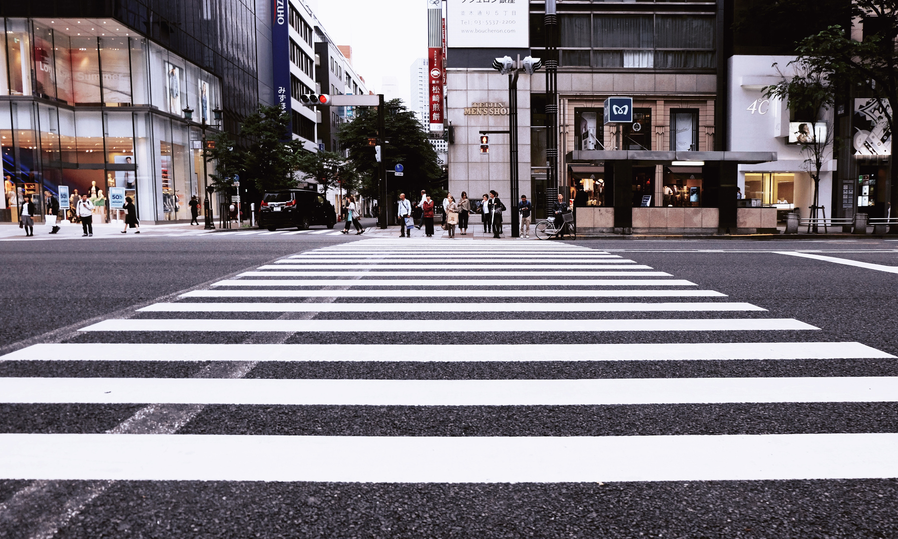 Pedestrian Crossing in the Street